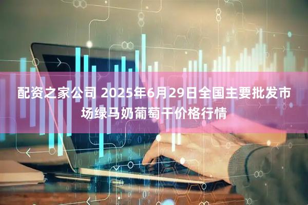 配资之家公司 2025年6月29日全国主要批发市场绿马奶葡萄干价格行情