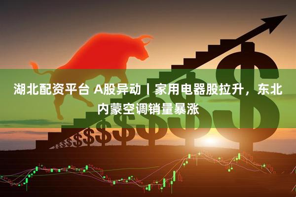 湖北配资平台 A股异动丨家用电器股拉升，东北内蒙空调销量暴涨