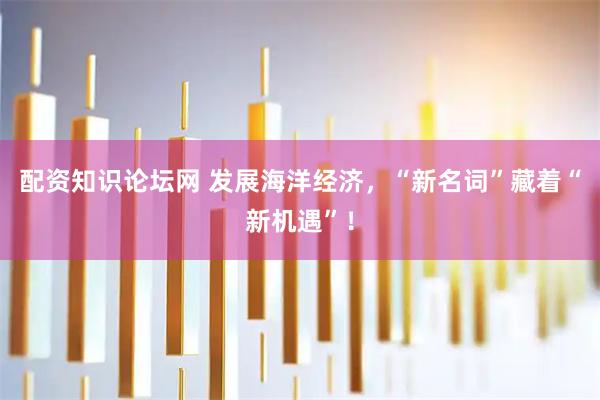 配资知识论坛网 发展海洋经济，“新名词”藏着“新机遇”！