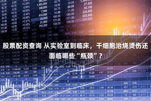 股票配资查询 从实验室到临床，干细胞治烧烫伤还面临哪些“瓶颈”？